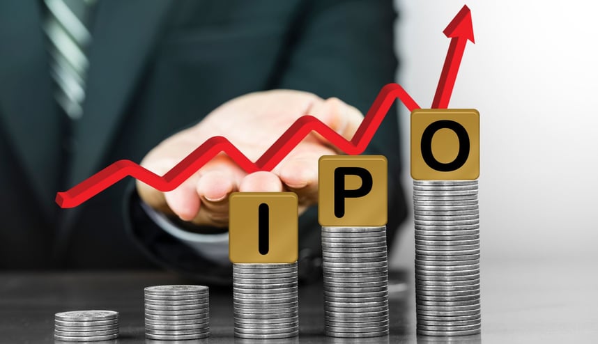 How to Create an IPO Wealth Management Plan After Your Company Goes Public